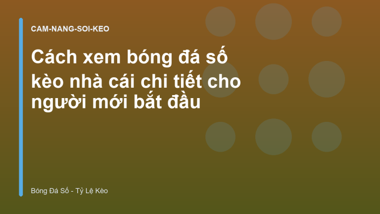 Cách xem bóng đá số kèo nhà cái chi tiết cho người mới bắt đầu